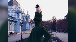 Вести в сети #325. Кот в шляпе, собака на велосипеде и красавец Эльбрус Вести в сети #325. Кот в шляпе, собака на велосипеде и красавец Эльбрус