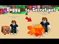 Starting Over As A Noob And Hatched A Secret Pet In Bubble Gum Simulator Roblox!