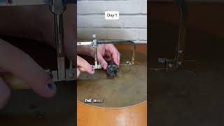 Can I Turn a Raw Garnet into a Dice? [1]
