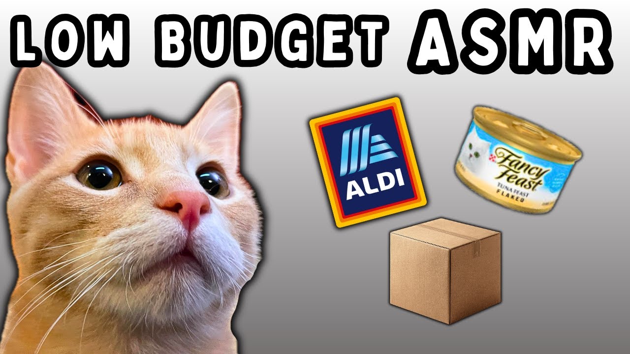 Peak Low Budget Cat ASMR (the unhinged truth)