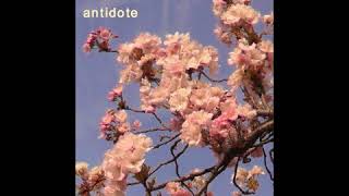 Orion Sun - Antidote chords