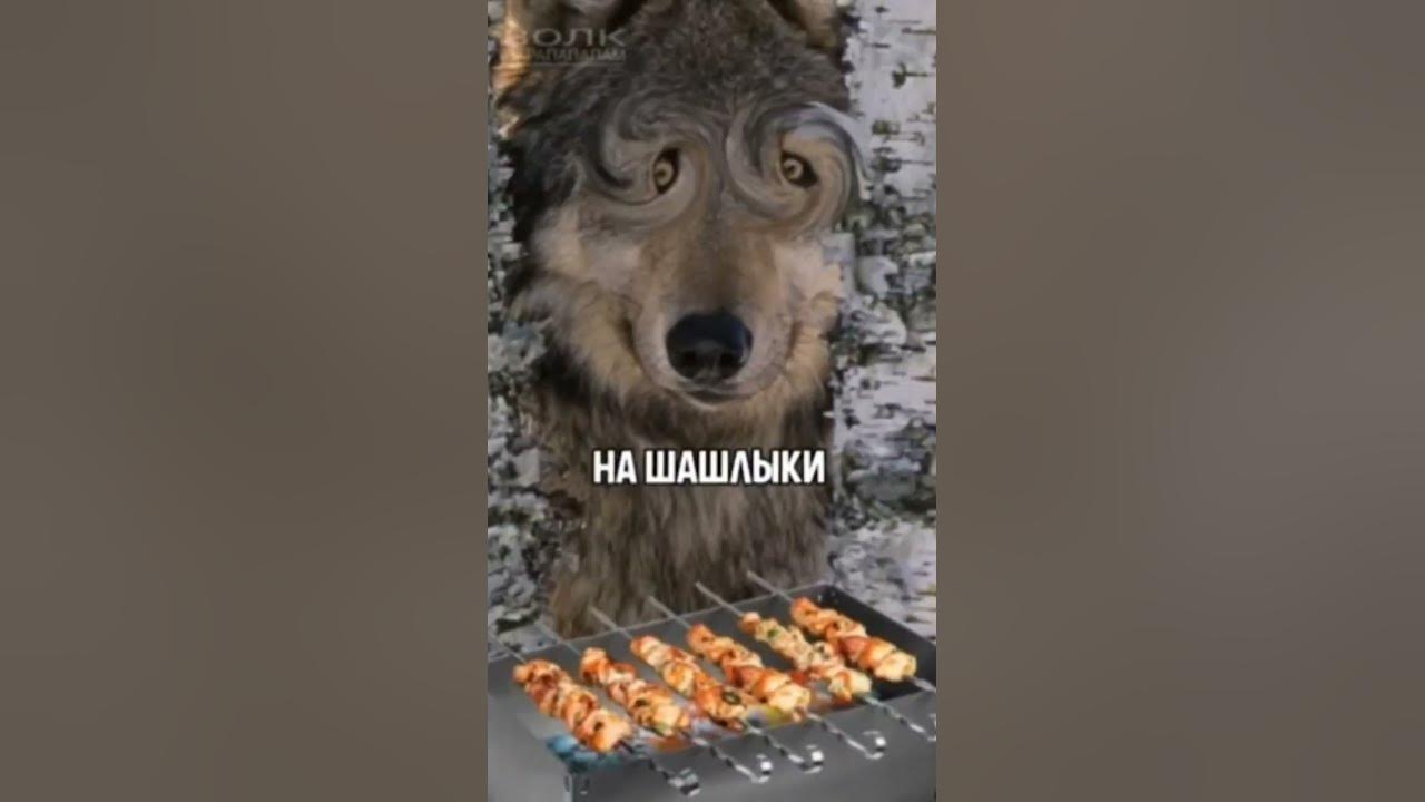 ауф😎 #цитаты #мем - YouTube