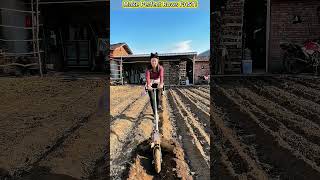 Hand Furrower Tool – Effortless Soil Row Maker for Fast Gardening!