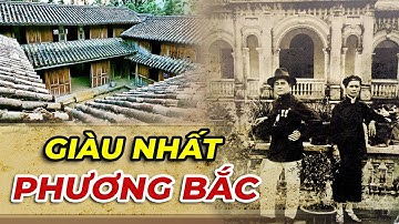 Tại Sao VUA MÈO Lại Giàu Đến Vậy | Top Những VUA MÈO Khét Tiếng Nhất Lịch Sử Việt Nam