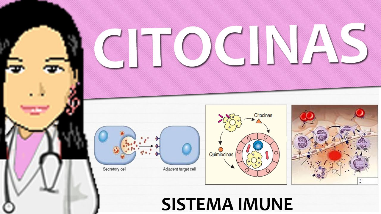 Imunologia 03 Citocinas Imunidade Inata Video Aula De Sistema Imune Youtube