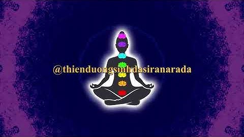 90 PHÚT HƯỚNG DẪN THIỀN ĐỊNH, CHÁNH NIỆM CĂN BẢN DỄ THỰC HÀNH CHO NGƯỜI MỚI (CÓ LỜI DẪN KHI THIỀN)