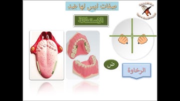 تعلم قراءة القرآن وقواعد التجويد - صفات الحروف - صفة الاستطالة