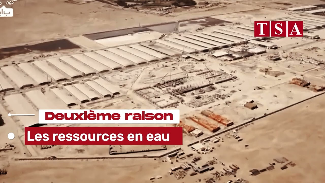 Ferme géante Baladna : l'Algérie mieux adaptée que le Maroc et l'Espagne