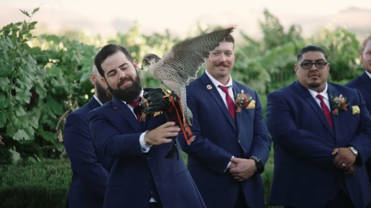 Kate and Cole's Wedding Video | Palm Event Center | Pleasanton, CA