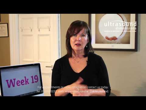 Video: 19th Week Of Pregnancy - What Happens To Mom? Fetal Development, Sensations