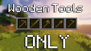 Minecraft But I Can Only Use Wooden Tools