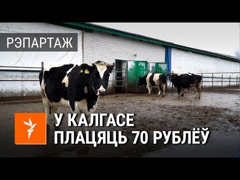 Калгас, у якім зарабляюць 70 рублёў на месяц | Колхоз, в котором зарабатывают 70 рублей в месяц