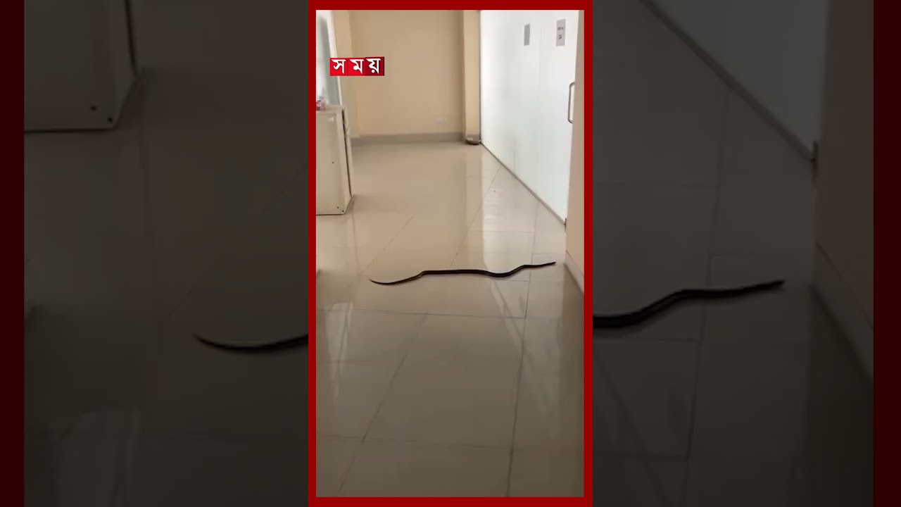 চুয়েটের আইটি ইনকিউবেটরের তিনতলায় সাপ! #chattogramnews #snakevideo #somoytv