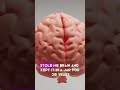 Daily dose of facts discover the world through daily facts facts daily shorts fun ytshorts