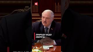 Лукашенко: дерево может вырасти везде, растений должно быть больше! #shorts