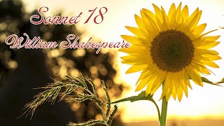 Sonnet 18 by William Shakespeare