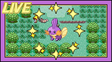 LIVE! Shiny Mudkip Kicks the Pooch After 25,508 SRs [Ruby] [DTQ #1]