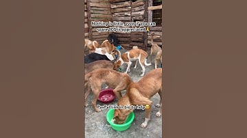 Please don’t scroll without donating anything or boosting the video through commenting random words