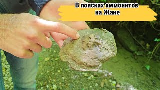 В поисках аммонитов и окаменелостей в долине реки Жане