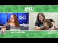Pet Project: Meet Harper!