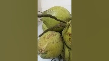 Nước dừa giải khát, nước uống đẹp da, bổ sung khoáng chất cho cơ thể  #Shorts
