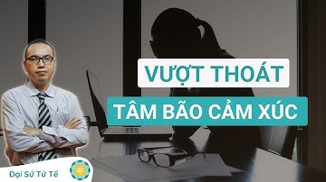 CƠN BÃO CẢM XÚC - TỔN HẠI LỚN TỚI CUỘC SỐNG | Trần Việt Quân