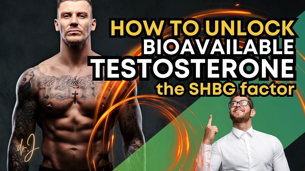 UNLOCK BIOAVAILABLE TESTOSTERONE: The SHBG Factor - A Comprehensive ...