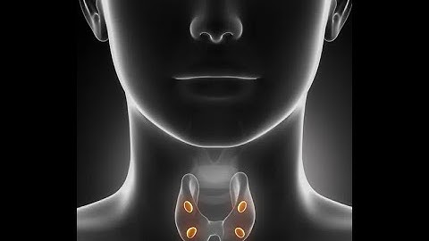 Parathyroidectomy | Adenoma | Hyperparathyroidism - Parathormone | Exploration| Autotransplantation