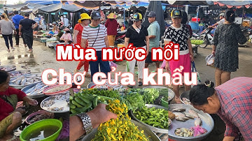 Mùa nước nổi " Chợ cửa khẩu Thường Phước" bán đa dạng cá đồng, cá rô nấu canh chua rau muốn, bông !