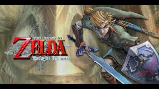 (No com) TLOZ Twilight Princess [Part 18] Hyrule Castle & Possible Finale?