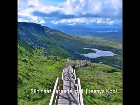 Singer Takala 0917261119 Siin Naaf Bareede