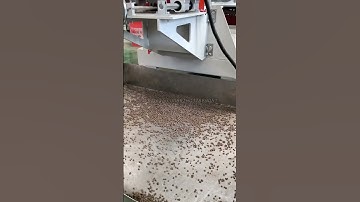 Floating fish feed machine working video#fishfarming #fishfeedmachine #fishfeedmakingmachine