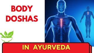 Ayurveda: Body Doshas Explained
