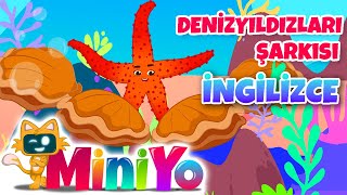 Denizyıldızları Şarkısı İngilizce | Miniyo İngilizce Sevimli Hayvan Şarkıları