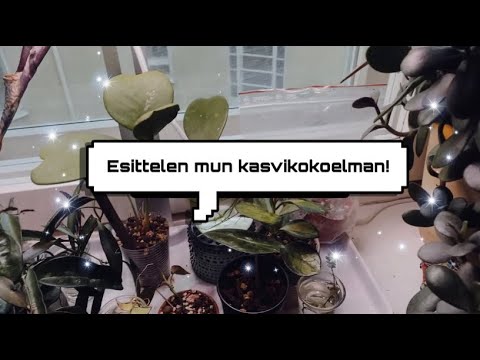 Video: Huhtikuun puutarhanhoitotehtävät – Länsialueen puutarhanhoitotehtävät