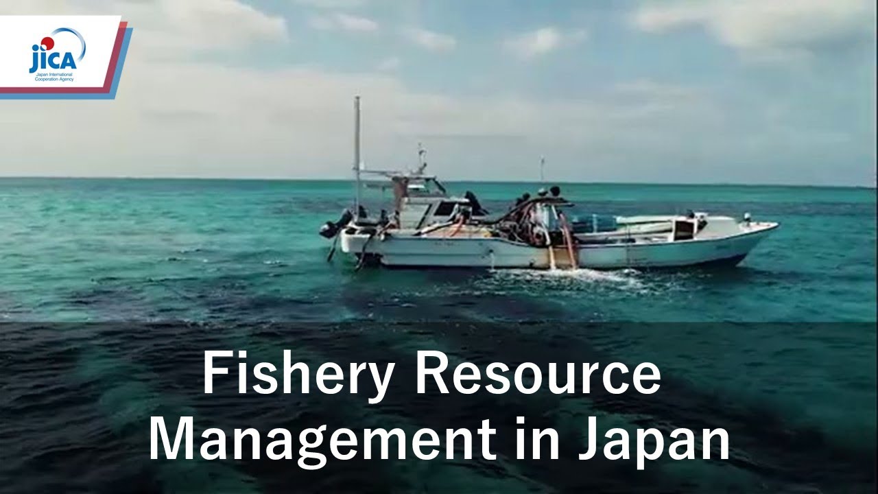 【Agricultural and Rural Development】Fishery Resource Management in Japan(Digest)