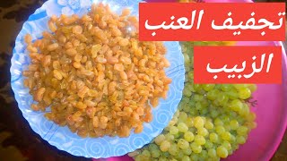 كيفية تجفيف العنب ليصبح زبيب وطريقة تخزينة لمدة طويلة