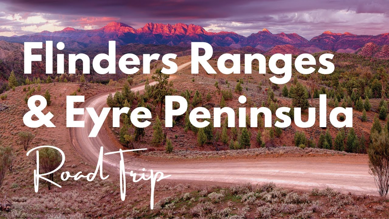⁣9 Day Flinders Ranges and Eyre Peninsula Road Trip