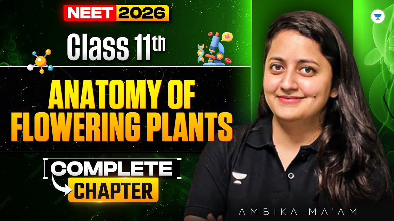 Anatomy of Flowering Plants | Class 11th | NEET 2026 | Ambika Mam