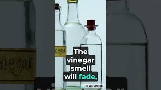 3 Home remedies to get smells out of leather car seats 3 Home remedies to get smells out of leather car seats