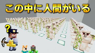 【マイクラ】整列したアイアンゴーレムになりすました犯人を探せ！【MOBかくれんぼ】 screenshot 4