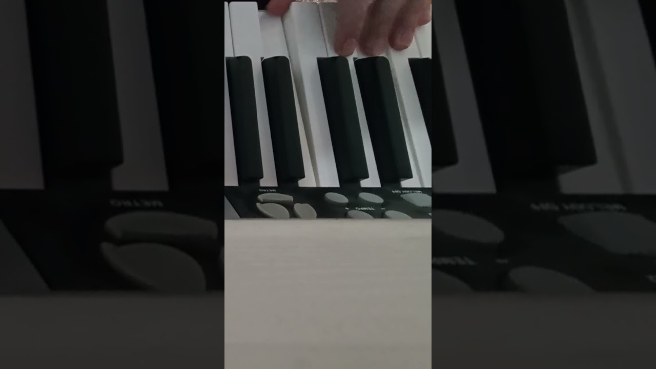 Sneak peak of my new black midi!