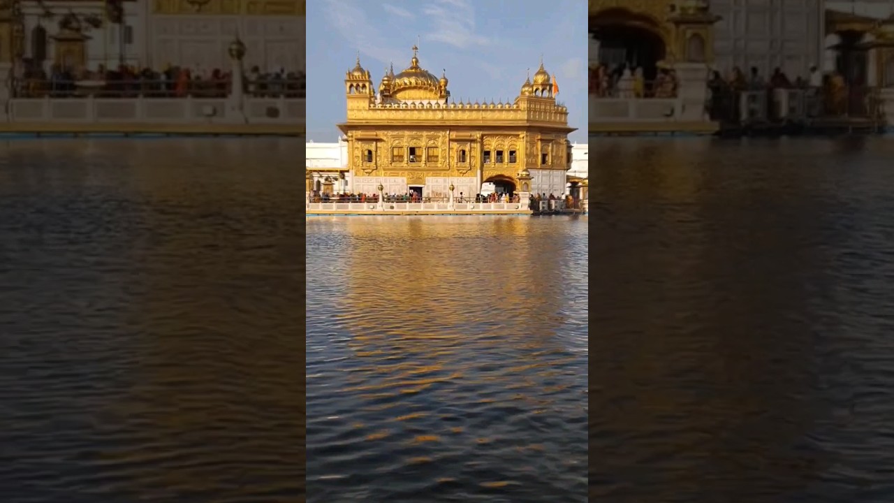 Ik tera sahara mil jaye data🙏🏻❤😇 #waheguru #gurudwara #goldentemple #shorts #harleenkaur