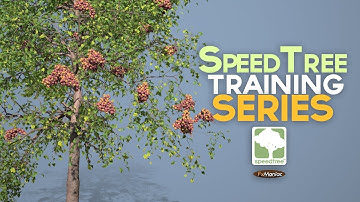 SpeedTree_TutorialSeries_Preview