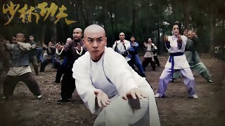 【少林功夫電影】傻小子遇上隱士老和尚，竟逆襲成為天下第一功夫高手  ⚔️  武侠  MMA | Kung Fu screenshot 4