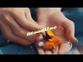 Miniature de la vidéo de la chanson Bloodline