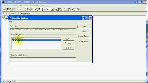 Net COBOL Windows CALL API With DLOAD, Using EntryFile to point to API