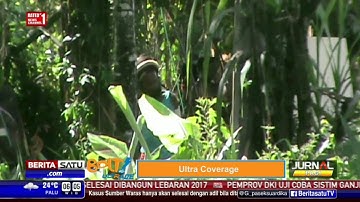 Tak Mau Damai, Kelompok Warga Timika Kembali Saling Serang
