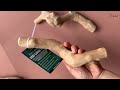 What are Coffee Wood Dog Chews? An Eco-Friendly Choice for Furry Friends