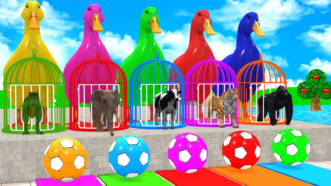 Long Slide Game With Cow Elephant Gorilla Hippopotamus Tiger 3d Animal Game Funny 3d Animals